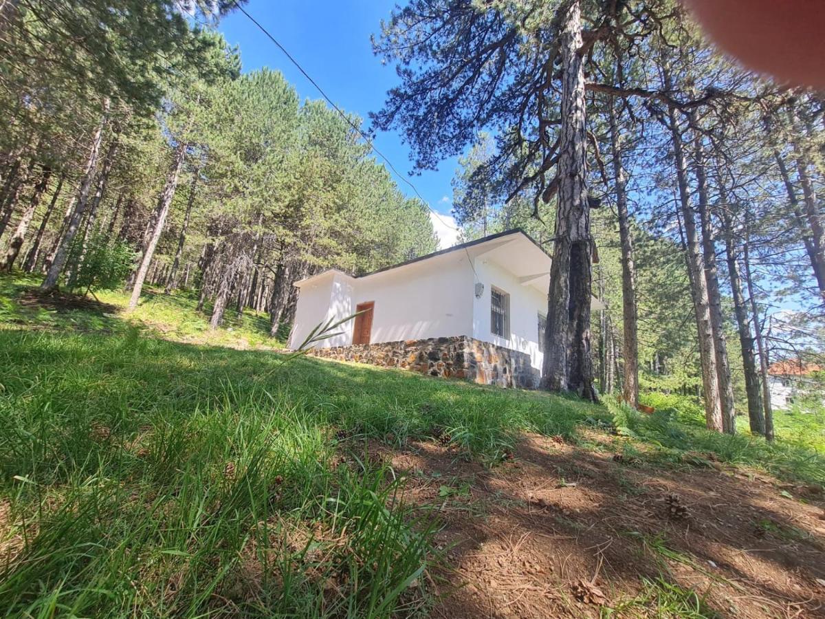 Bujtinat Skenderi Gjinar 2 Exterior foto