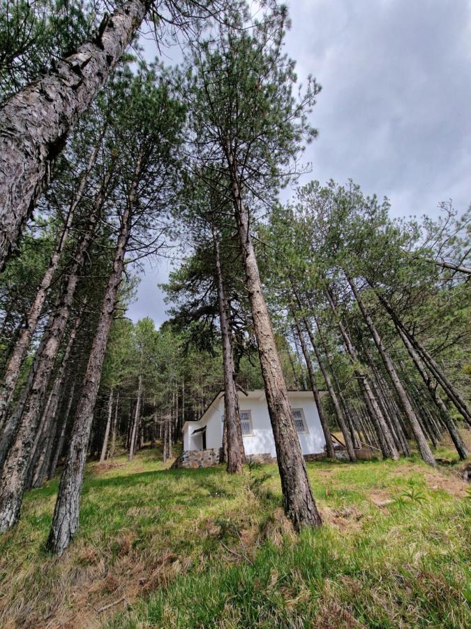 Bujtinat Skenderi Gjinar 2 Exterior foto