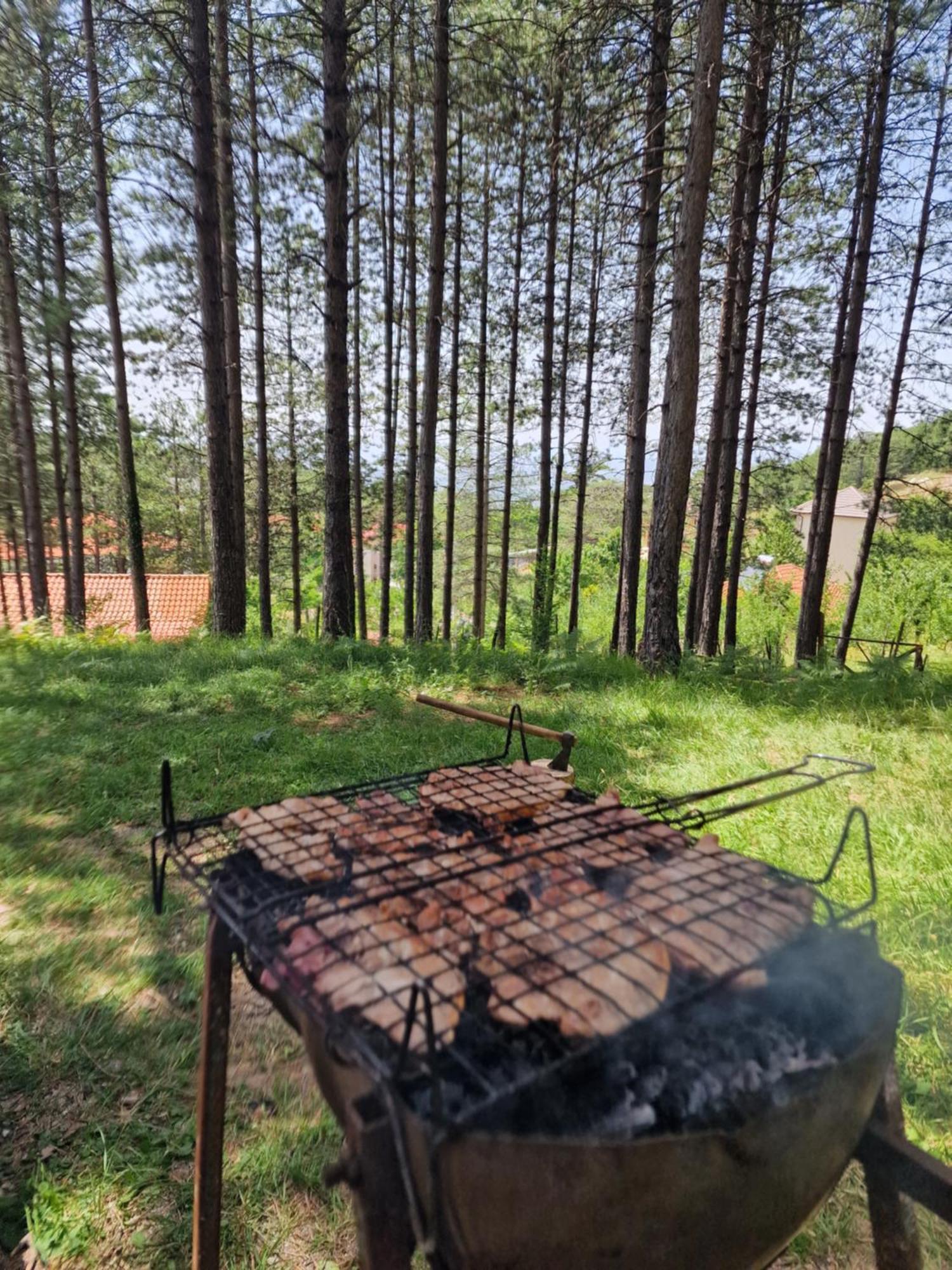 Bujtinat Skenderi Gjinar 2 Exterior foto