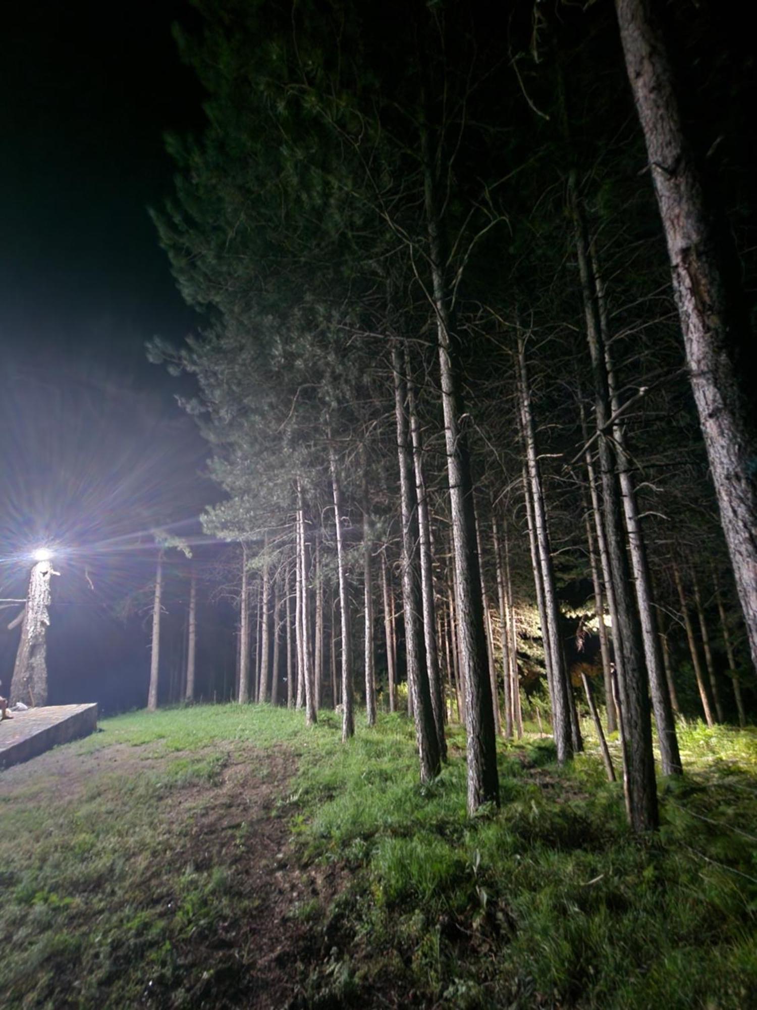 Bujtinat Skenderi Gjinar 2 Quarto foto