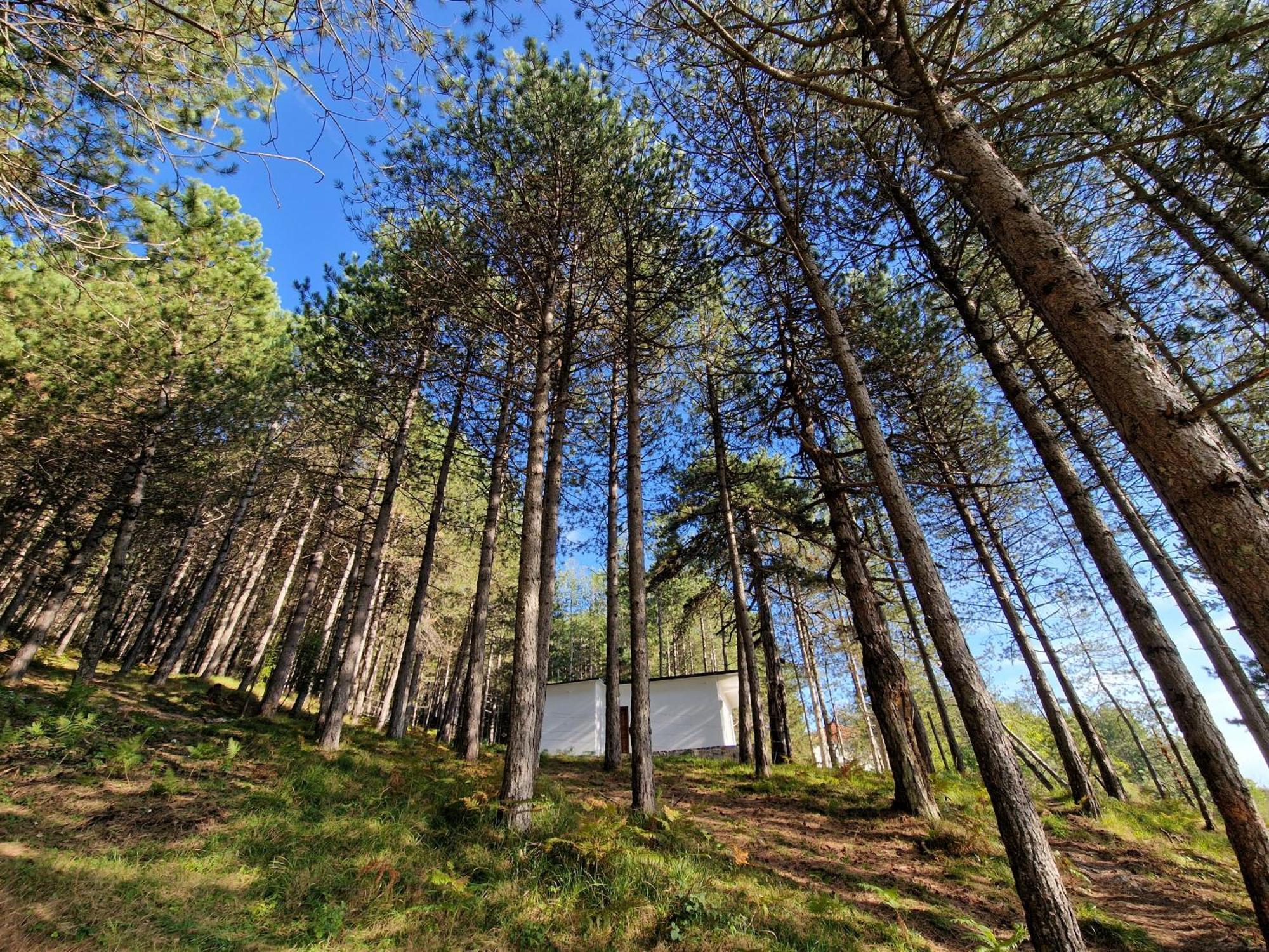 Bujtinat Skenderi Gjinar 2 Quarto foto